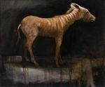 the last quagga | oil on canvas
50 x 60 cm